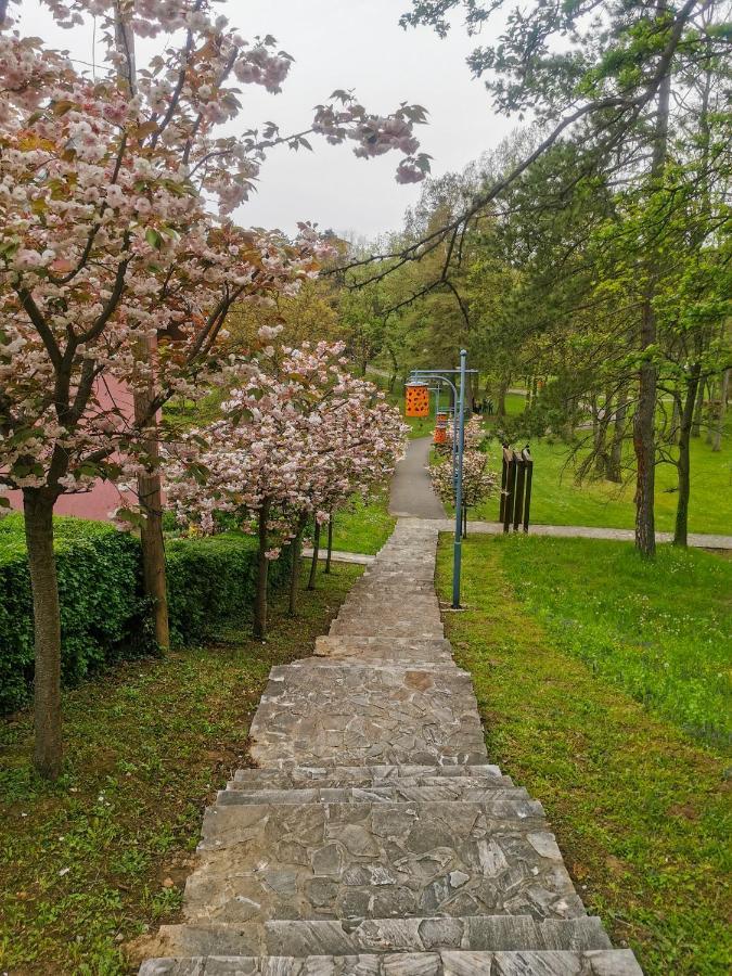 Apartman Japanski Vrt, Centar Vrnjačka Banja Exterior foto